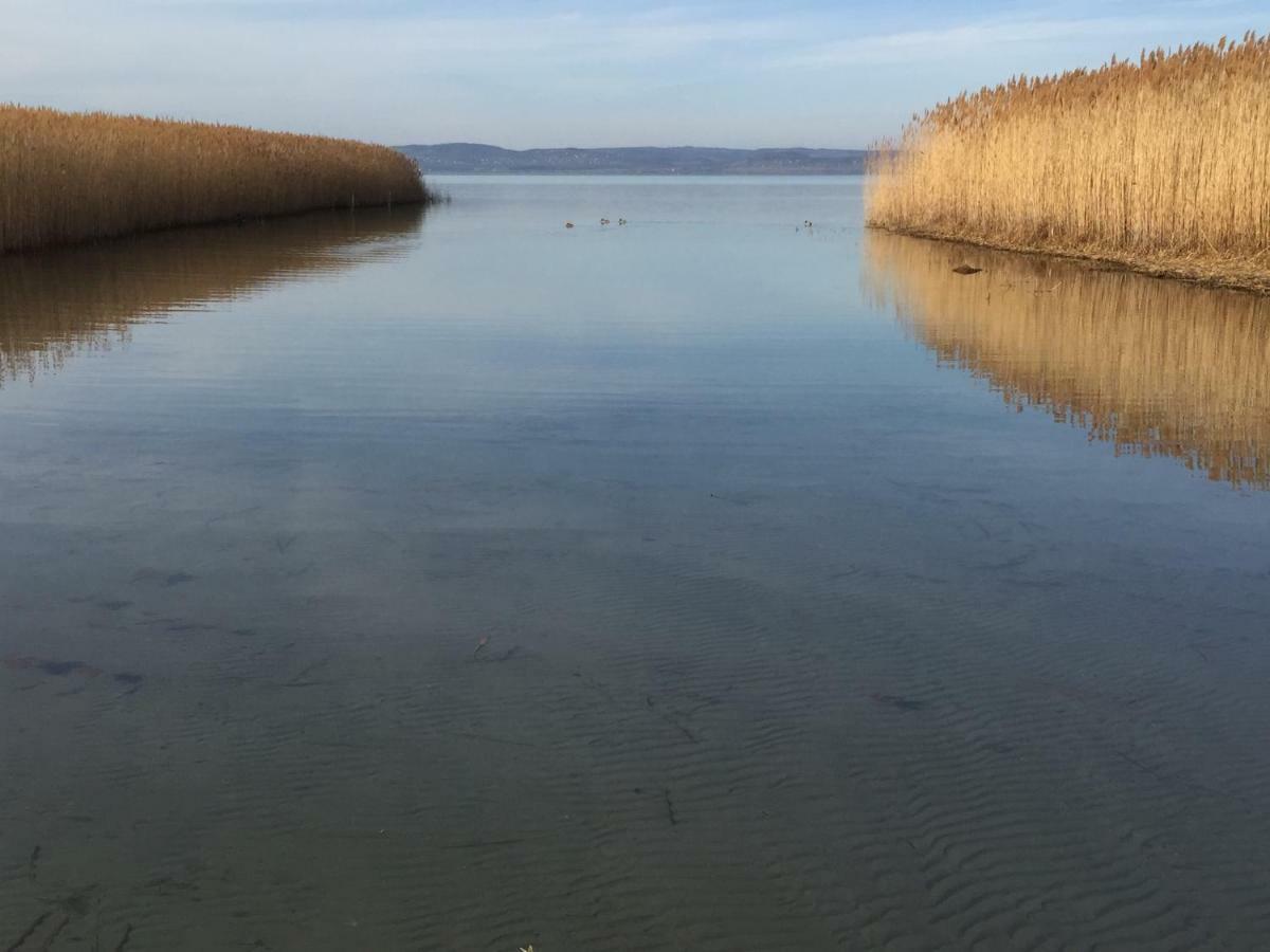 Tamas Apartman Balatonfoeldvar Sziveben- Egesz Evben Nyitva! Exterior foto